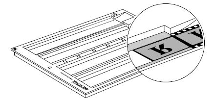 1551364496352008.jpg ArtixScan F2掃描儀底片放(fàng)置方法推薦_img_9.jpg