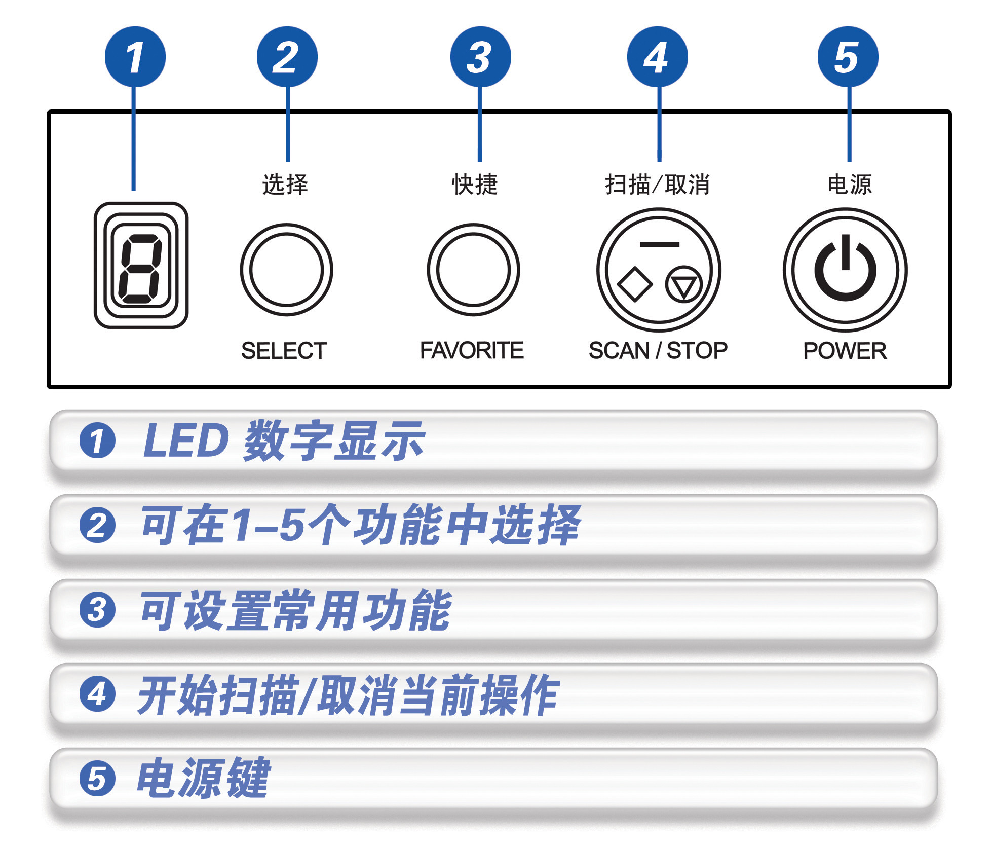 1551944015304605.jpg image011.jpg